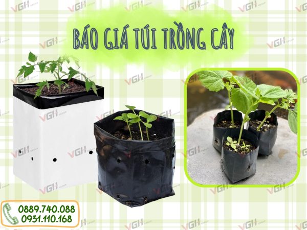 bao-gia-tui-trong-cay