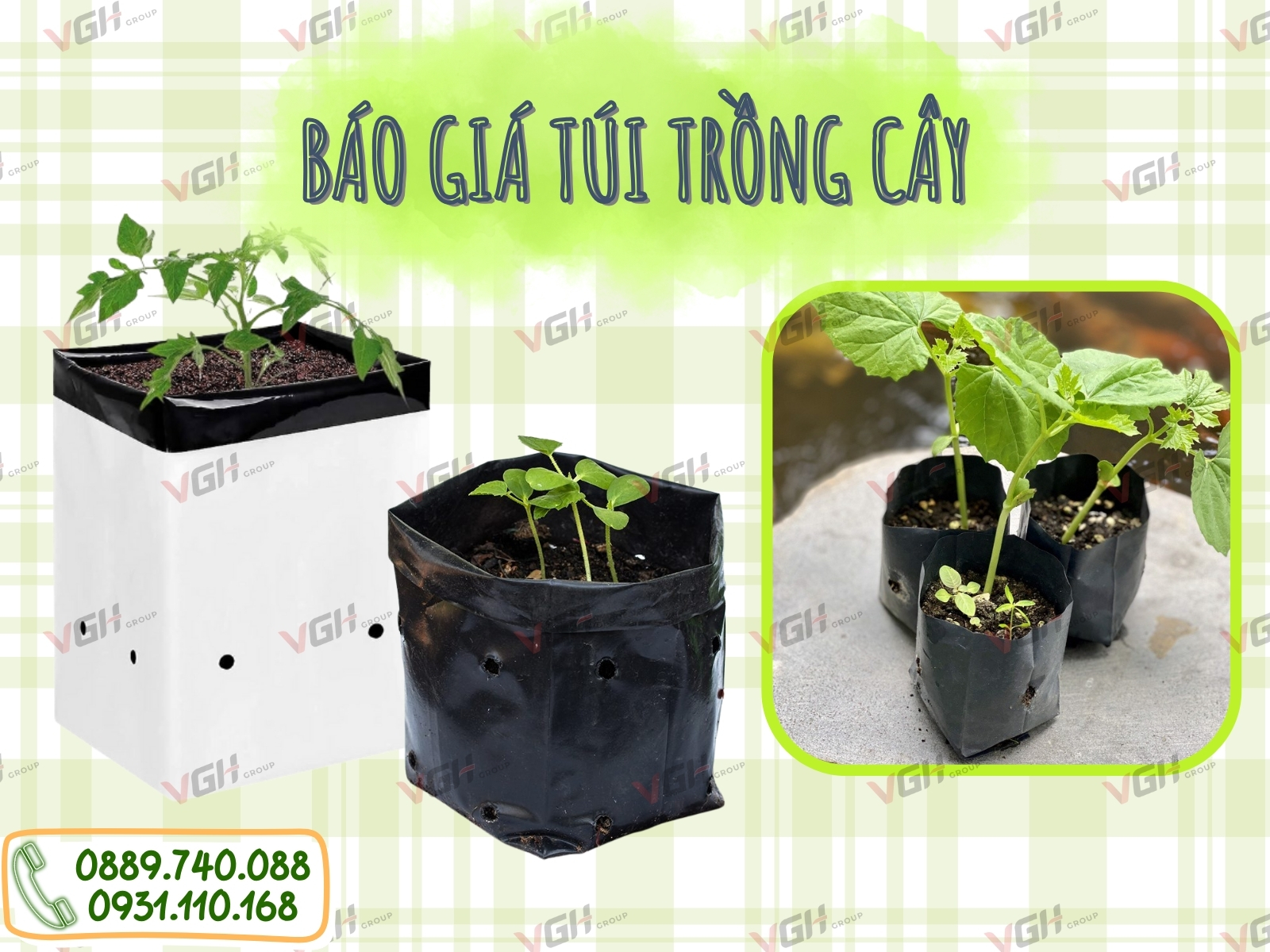 bao-gia-tui-trong-cay