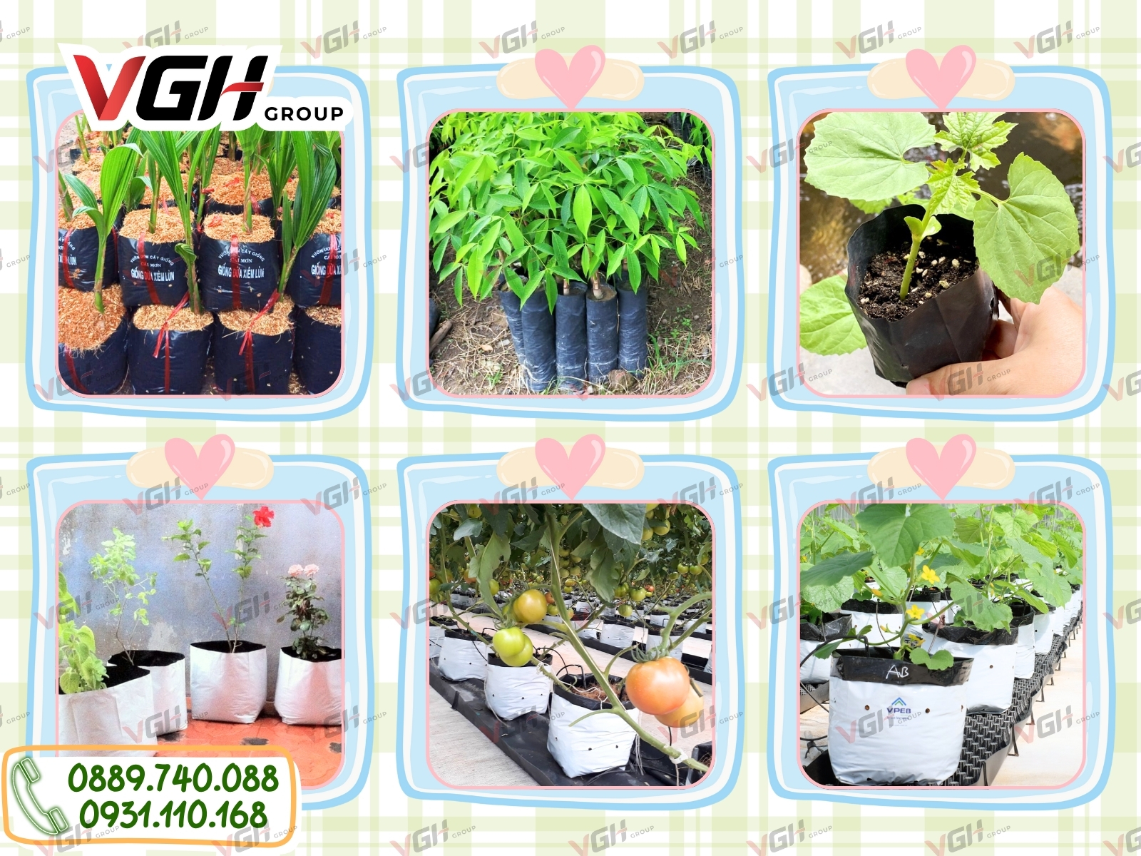 bao-gia-tui-trong-cay