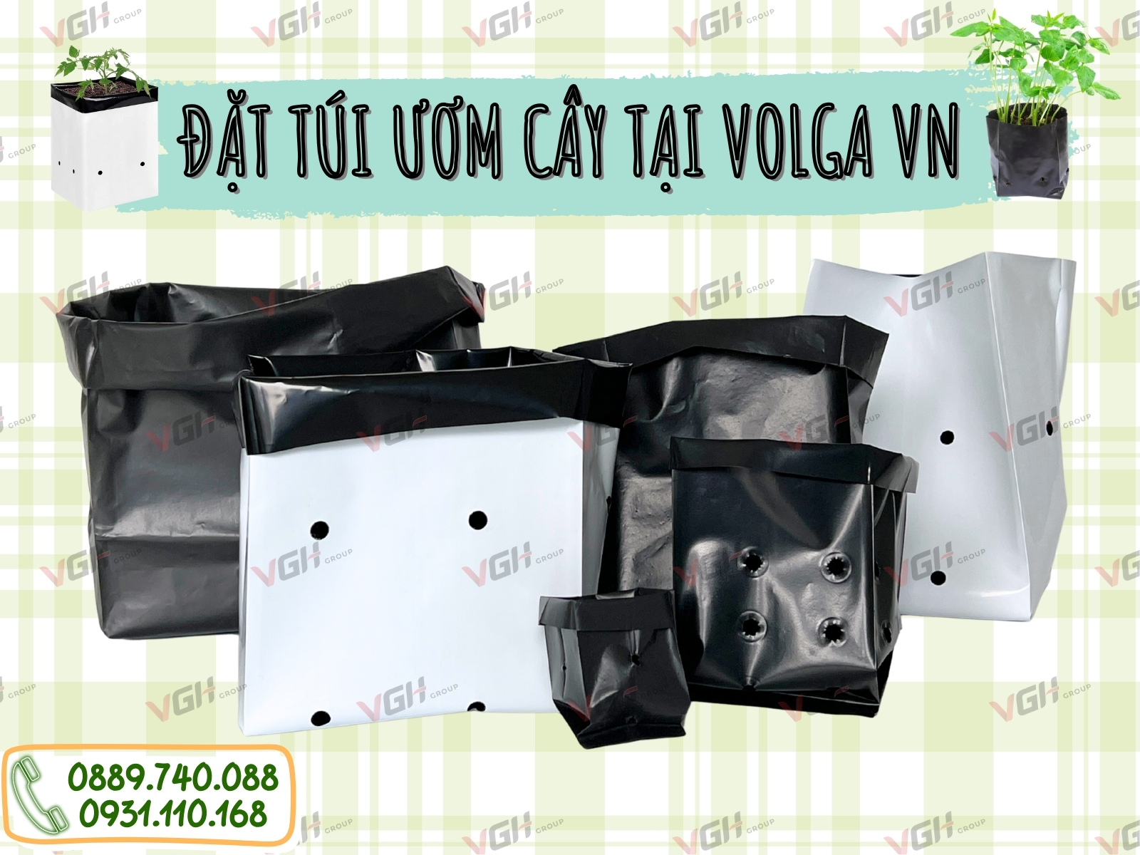 bao-gia-tui-trong-cay