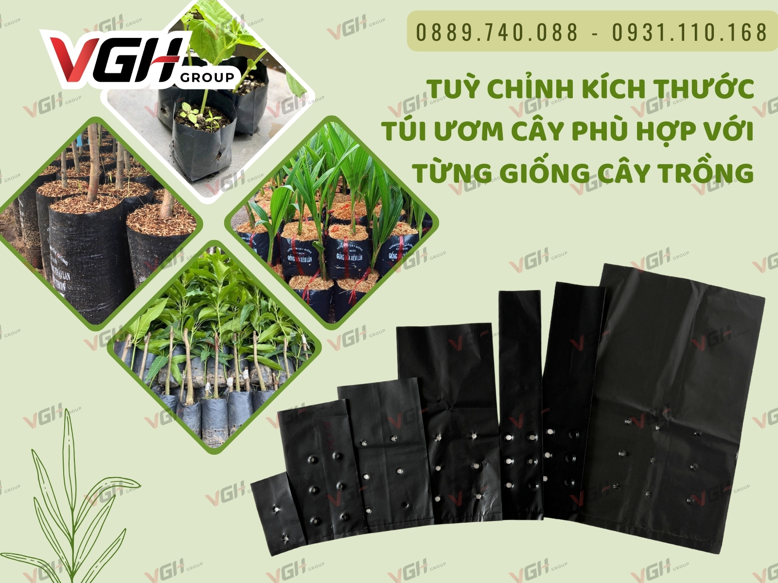huong-dan-tui-trong-cay-den