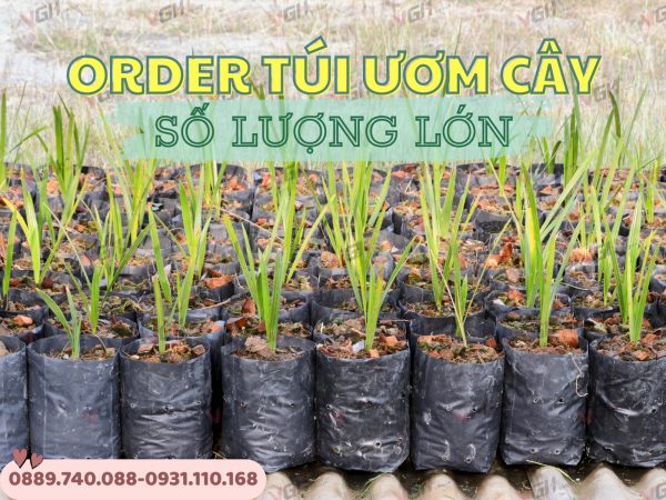 order-tui-trong-cay